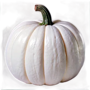 Autumn White Pumpkin Png 67 PNG image