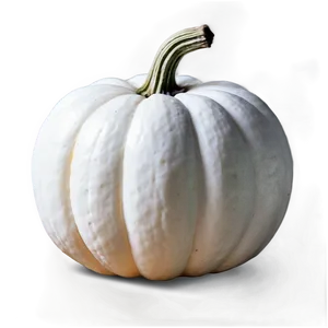 Autumn White Pumpkin Png Key63 PNG image