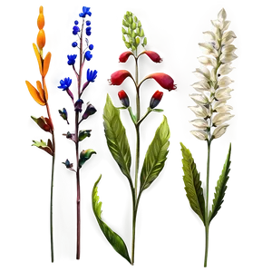 Autumn Wildflowers Display Png Eag81 PNG image