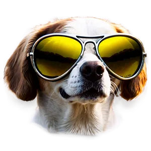 Aviator Sunglasses For Dogs PNG 20