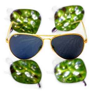 Aviators For Fashion Statement PNG Bkm63 PNG