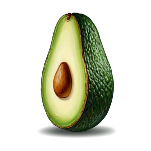 Avocado Illustration PNG Act9