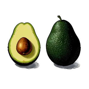 Avocado Illustration PNG Nyy11
