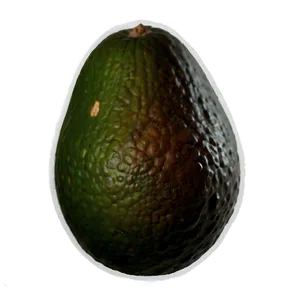 Avocado Seed Png 19 PNG image