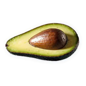 Avocado Seed Png 95 PNG image