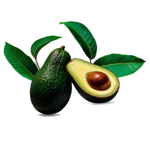Avocado Tree PNG Ihk56