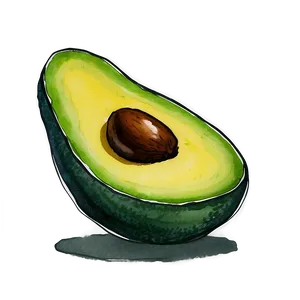 Avocado Watercolor PNG 05242024