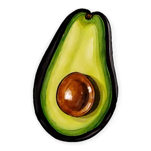 Avocado Watercolor PNG Ivr55 PNG