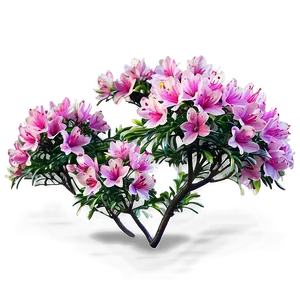 Azalea Flower Bush PNG Gkh