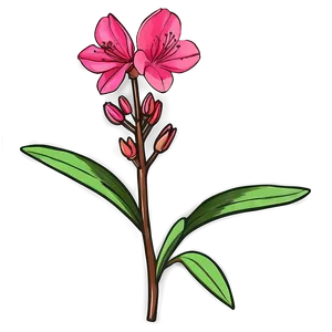 Azalea Flower Sketch PNG 05252024