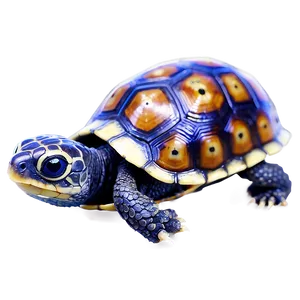 Baby Box Turtle Png Cps50 PNG image