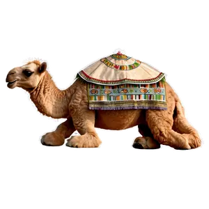 Baby Camel PNG Dyf PNG