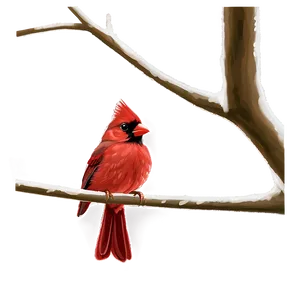 Baby Cardinal PNG 27