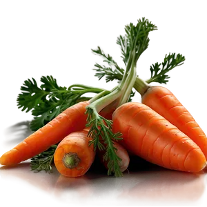 Baby Carrots Png 06132024 PNG image