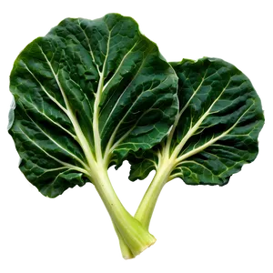 Baby Collard Greens PNG 13