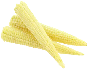 Baby Corn Cluster Fresh Produce PNG image