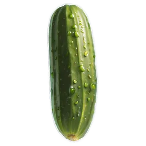 Baby Dill Pickle PNG 05232024 PNG