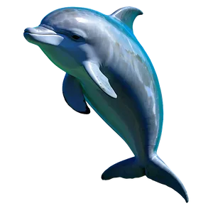 Baby Dolphin Png 19 PNG image