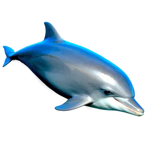 Baby Dolphin Png Hwl PNG image