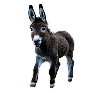 Baby Donkey PNG 05232024