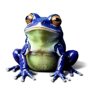 Baby Frog Cute PNG Mki PNG