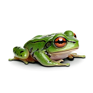 Baby Frog Cute PNG Uar