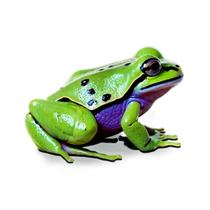 Baby Frog PNG 06212024 PNG