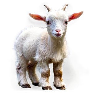 Baby Goat Png 05232024 PNG image