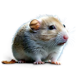 Baby Hamster Png 05232024 PNG image