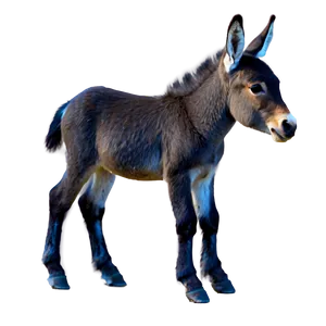 Baby Mule Picture Png 51 PNG image