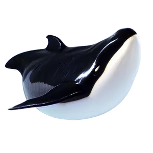 Baby Orca PNG Ggj47