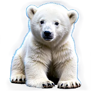 Baby Polar Bear Png 37 PNG image