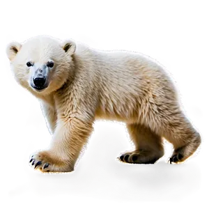 Baby Polar Bear PNG Tyj90