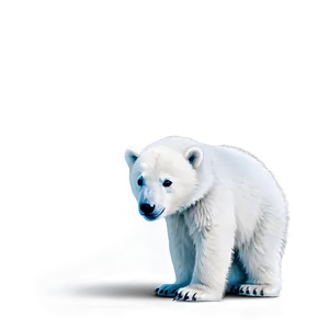 Baby Polar Bear Png Uwj PNG image