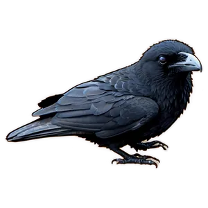 Baby Raven PNG 11