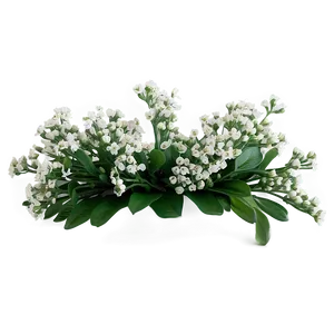 Baby's Breath Border Design PNG 33 PNG