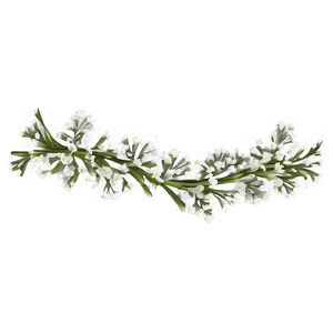 Baby's Breath Border Design PNG Xee