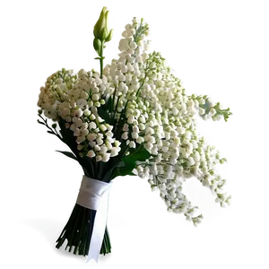 Baby's Breath Bridal Bouquet Png 83 PNG image