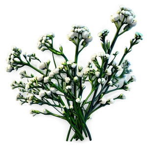 Baby's Breath Fairy Lights PNG Grd