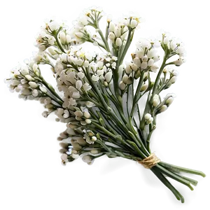 Baby's Breath For Hair Accessory Png Fei37 PNG image