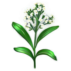Baby's Breath Greeting Card PNG 44 PNG