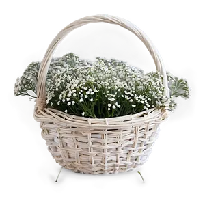 Baby's Breath In Basket PNG 06212024