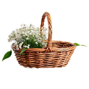 Baby's Breath In Basket PNG 47