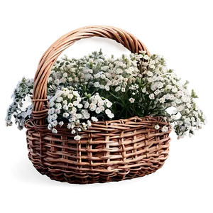 Baby's Breath In Basket PNG Oqa