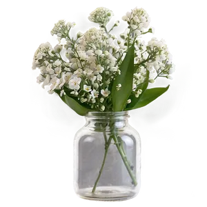 Baby's Breath In Glass Bottle PNG 06212024 PNG