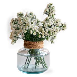 Baby's Breath In Glass Bottle PNG Ipg