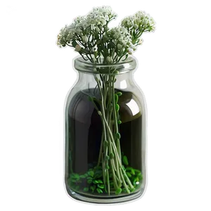 Baby's Breath In Glass Bottle PNG Uql PNG