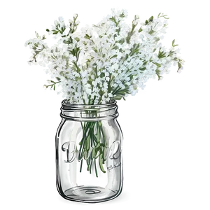 Baby's Breath In Mason Jar Png 06212024 PNG image