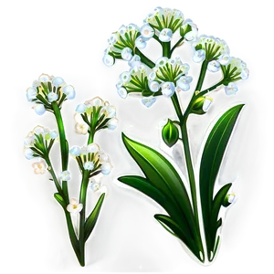 Baby's Breath In Morning Dew PNG 06212024