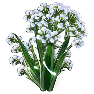 Baby's Breath In Morning Dew PNG Vwg